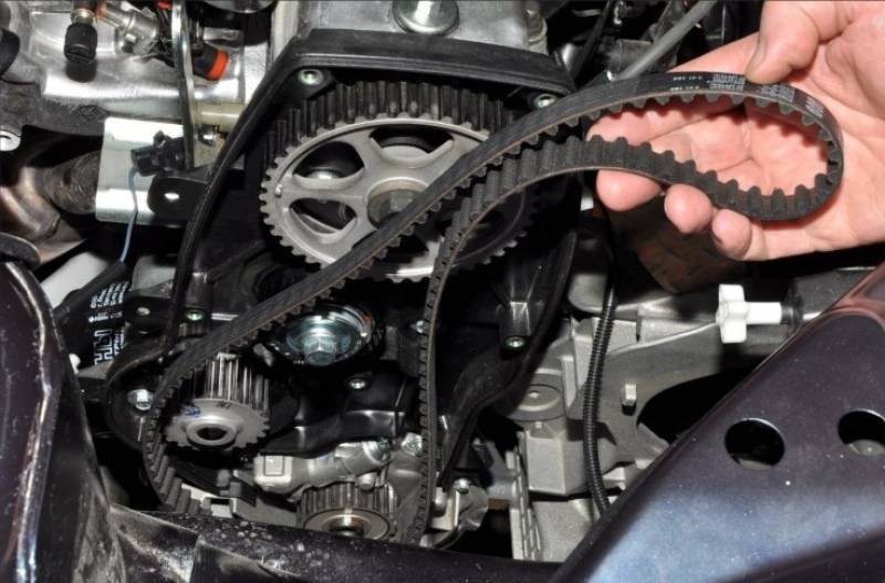 Courroie de Distribution 